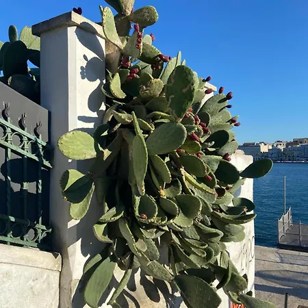 Stella Del Salento Apartment Brindisi