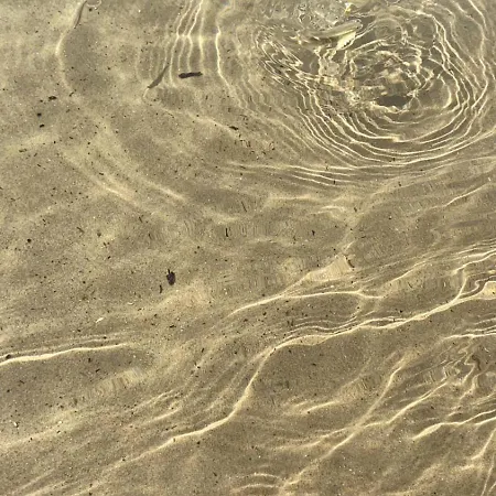 Sea & Spiagge A 200m Stella Del Salento Appartamento *